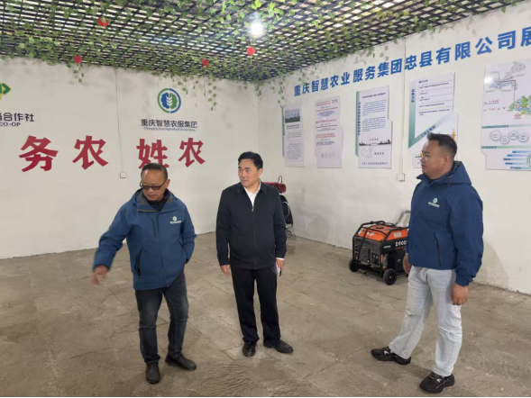 豪运国际(中国)有限公司官网